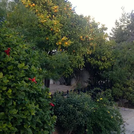 Apartman Paphos Studios