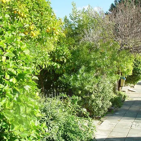 Paphos Studios Apartman *